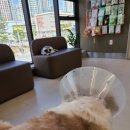 율하 위드동물병원 이미지