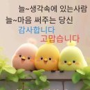 꽃피는하루 이미지