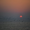 노을공원 이미지