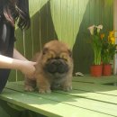 (유)청용 이미지