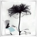 사람과나무 이미지