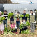 슬기농장 이미지