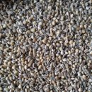 무안전통시장2동 이미지