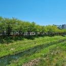 볼래로 문화거리 이미지