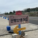 남녀노소 맛있게 먹는 맛집 | 산방산초가집 | 산방산 초가집에서 초가집 밥상 먹기 | 한 세트에 전복...