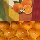 유일한농장 이미지