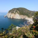 관심1길-1 이미지