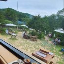 남촌도림동-35 이미지