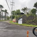 제주도게스트하우스파티 리조트 청 | 서귀포 파티게스트하우스 낮에는 카페 밤에는 파티를 즐길 수 있는 제주도게스트하우스 리조트 청