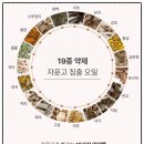 벨하이솝 이미지