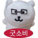 방:방콕은 콕:재밌다 (2일차, 방콕 마사지 추천