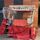 몽스데이 | 그 드물다는 굳고 정한 갈매나무라는 나무를 생각하는 것이었다