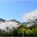 미국마을 이미지