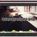 쌀보리양식 이미지