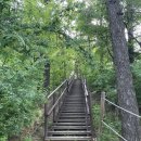 초록산등산로 | 낙가산 등산 후기(초록산. 벌레 주의!)