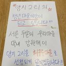 양지2리 이미지