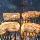 THE바른태권도 | 검단신도시 비채태권도 | 즐겁고 신나는 아이들 1박 2일 캠프 후기