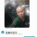 206 이미지