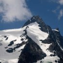 PHOENIX SWIM CLUB 이미지