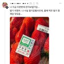 장희농장 네이버블로그