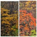 용소골농장 이미지