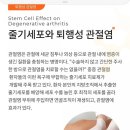 이에이치엘 이미지