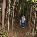 어두컴컴 이미지