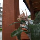 팔공산온천관광호텔 이미지