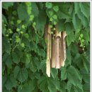 발해펜션 이미지