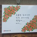 정여사전집 이미지