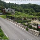 양평부자공인중개사사무소 | 양평아파트 양평부자공인중개사와의 특별한 거래 경험