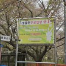 이마트24 광주우치공원점 | 광주가볼만한곳 우치공원 동물원 무료입장 숙소 할인 피크닉 주차 유모차 대여