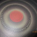 브라운 테팔 이미지