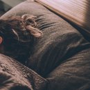 퓨전로또판매점 | <드림 셀러> 2부
