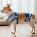 매너독 라이프 이미지