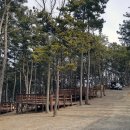 트리캠핑장 이미지