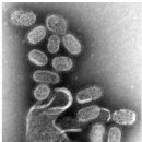 최종성소아청소년과의원 이미지