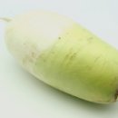 송정식품