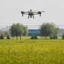 신화농장 이미지