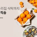 완도산전복산지직송 이미지