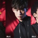 BLK 이미지