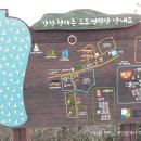 청자촌 2캠핑장 이미지