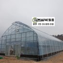 크린알파필름 이미지
