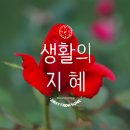 신다문화행정사 이미지