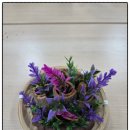 오륙도경로당 이미지