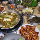 솔밭 이미지