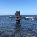 제주 비양도 호니토 이미지