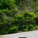 송하입구 이미지