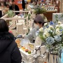 브라우터 강남 신세계백화점