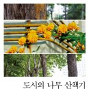 동촌역사 작은도서관 이미지